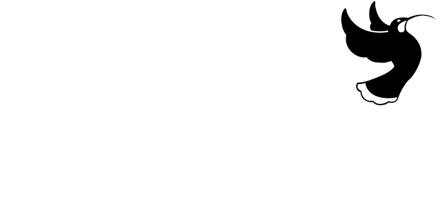 Fincap logo