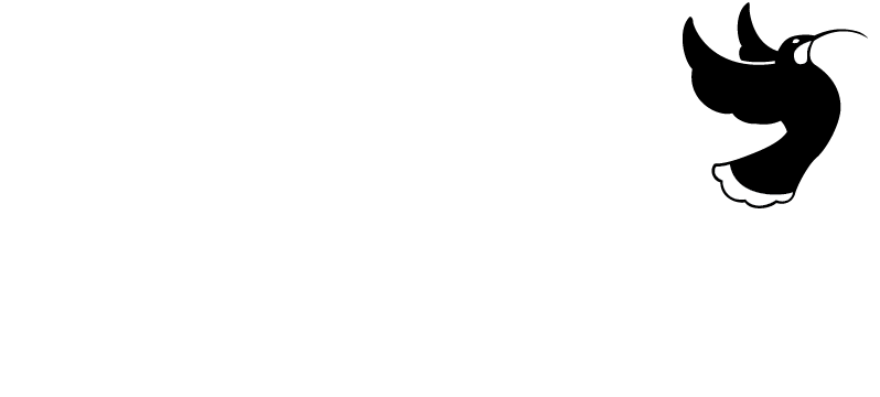 Fincap logo