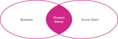 A Venn diagram showing the Product Owner at the intersection of Business and Scrum Team.