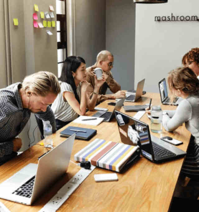 The four risks common to most software projects